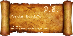 Pandur Buzás névjegykártya
